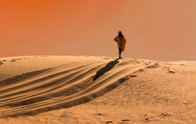 Sola nel deserto di Diana Cimino Cocco