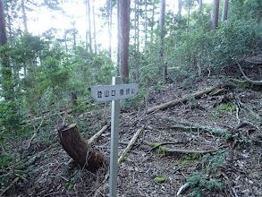 ここは登山道？