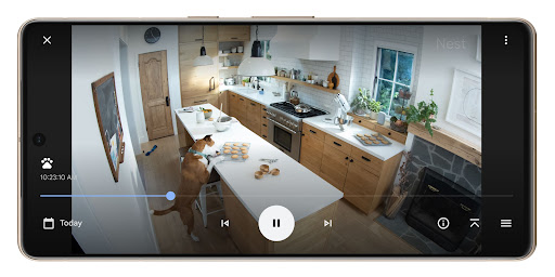 Event history in the Google Home app shows the dog taking a biscuit off the kitchen worktop.