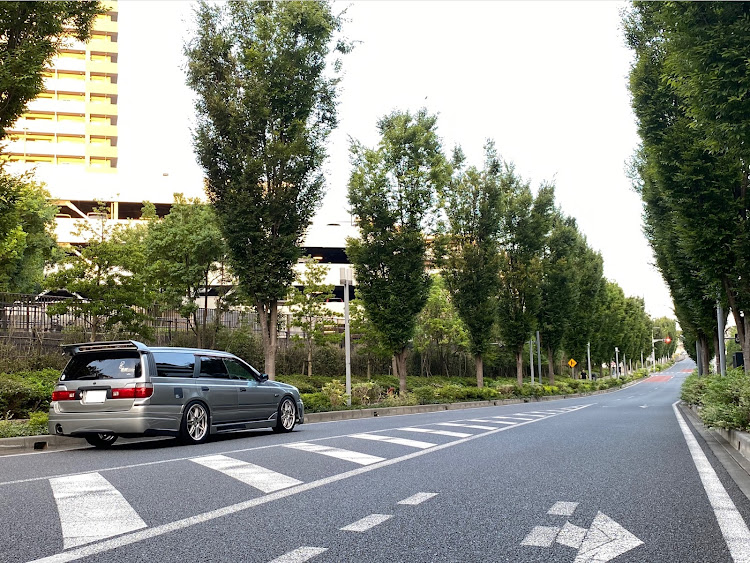 ステージアの早朝ドライブ・並木は構図がムズいに関するカスタム事例の投稿画像1枚目