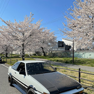 スプリンタートレノ AE86