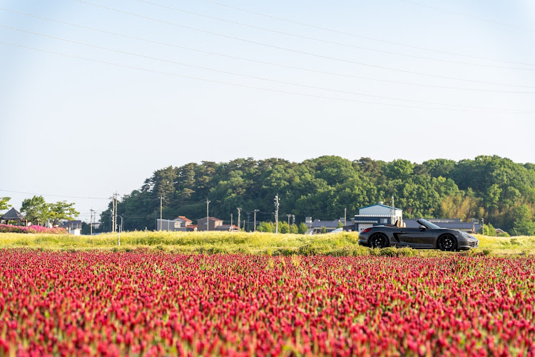 ボクスターのオープンカーのある生活・カメ活📷・花畑・麦畑・ボクスター（オープン）に関するカスタム事例の投稿画像3枚目