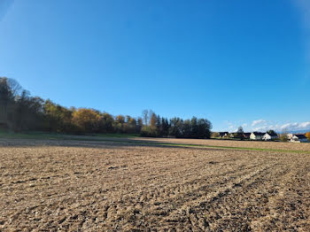 maison neuve à Hirsingue (68)