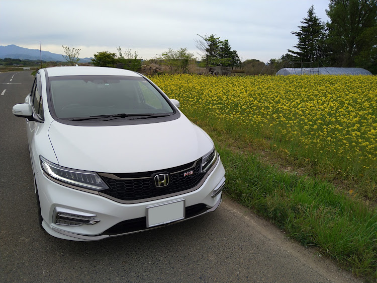ジェイドのMIYAKOJI sweets Yui・ふぁせるたむら・菜の花畑と愛車・プリン・謎の花に関するカスタム事例の投稿画像2枚目