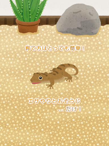 Updated ヤモリ育成ゲーム かわいい癒しのアプリ Pc Android App Mod Download 22