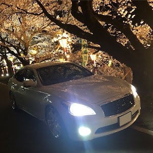 フーガ KY51