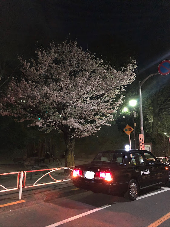 ハイエースバンのDIY・シャコタン風・仕事車・桜とコラボに関するカスタム事例の投稿画像1枚目