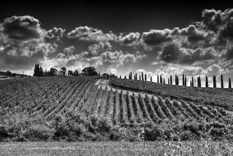 Tuscany. di matteo_maurizio_mauro