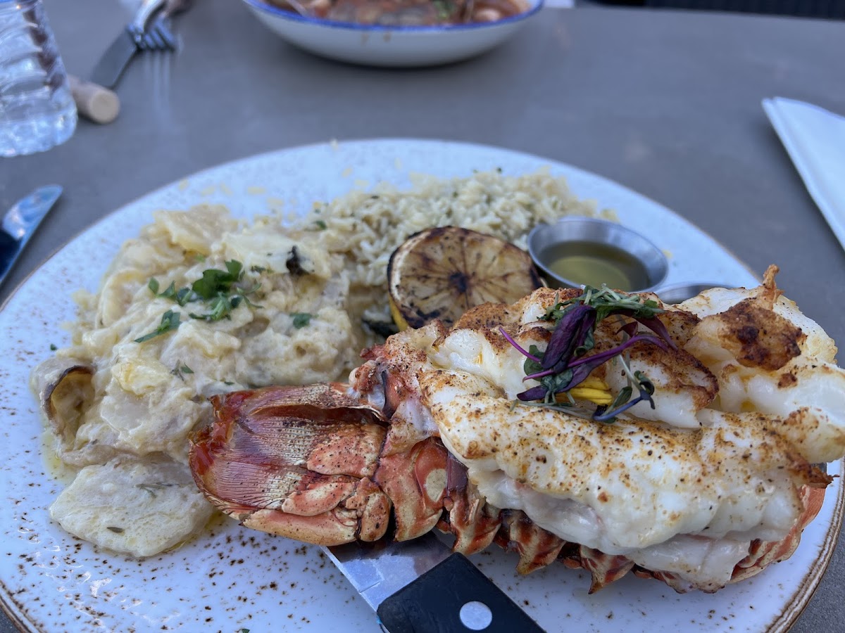 Lobster with scalloped potatoes and coconut ginger rice