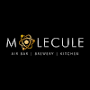 Molecule Air Bar, River Side Mall, Lucknow logo