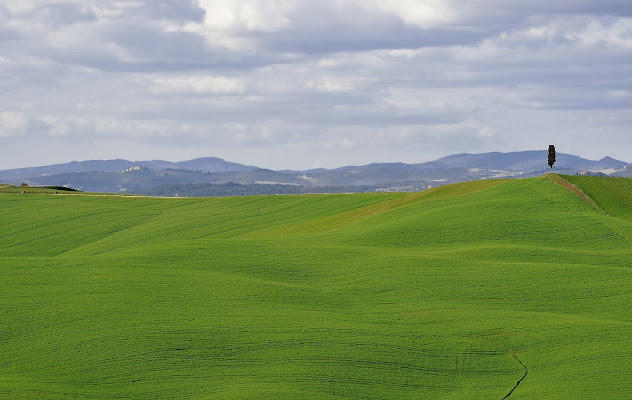 Fine Marzo nelle Crete di michele_prugnoli