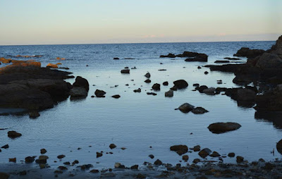 Mare Blu. di DusiaPoian