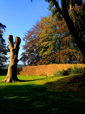 Una volta un albero..dove una volta un castello di Flipp