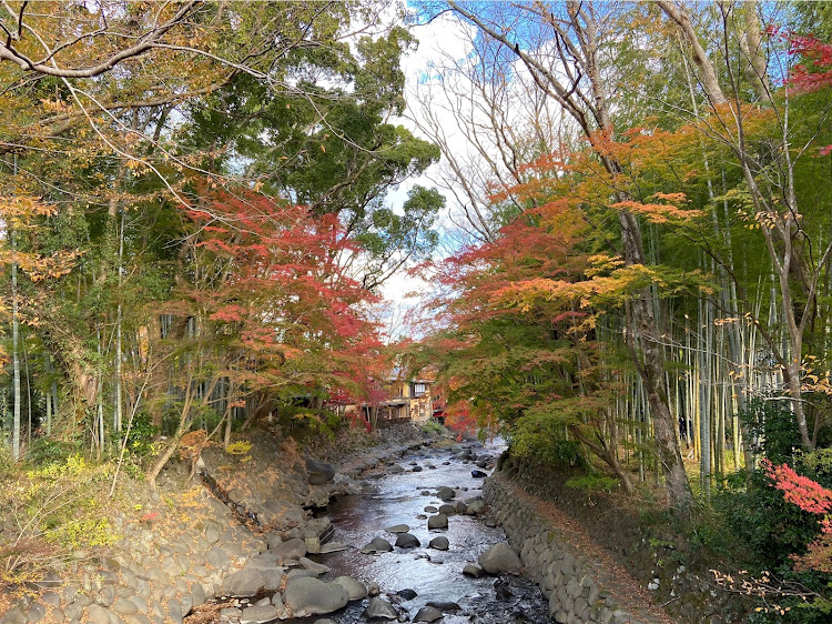 の投稿画像8枚目