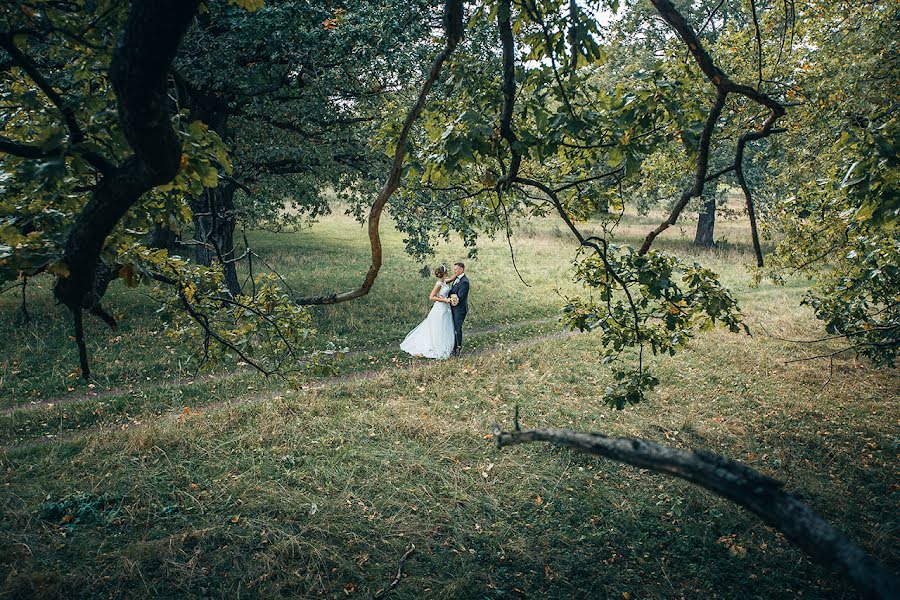 Fotografo di matrimoni Dmitriy Solovkov (solovkov). Foto del 23 aprile 2018