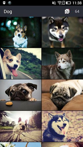 Dog Wallpapers Ringtone