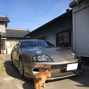 スープラ