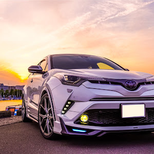 C-HR ZYX10