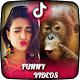 Download Funny Videos For TikTok - Musically 2019 For PC Windows and Mac 1.0