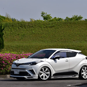 C-HR ZYX10