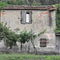 La finestra sul cortile di 