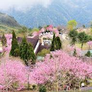 山上人家森林農場