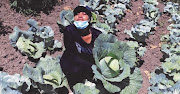 Tebello Yvonne Mokoena of Masela Lefika Farming in the Free State.