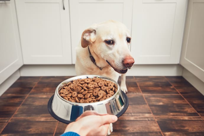 What's In Your Pet's Food?