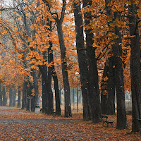 Caducita' del tempo di field