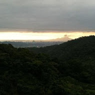 湖興土雞山莊 ▪ 茶藝館