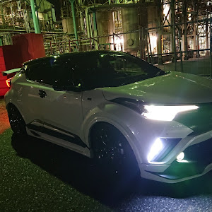 C-HR NGX10