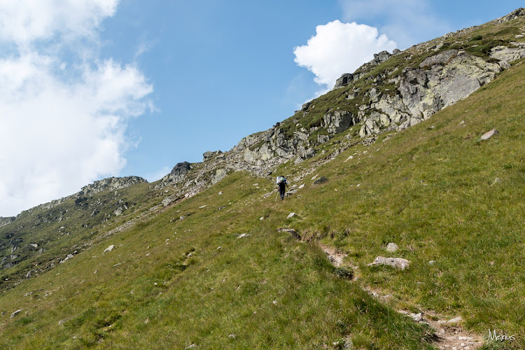 Spre şaua Piatra Tăiată, foto Marius