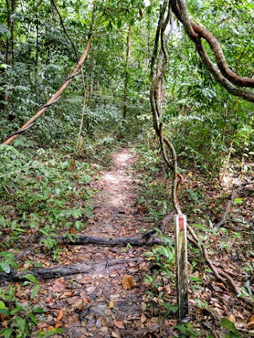 Bukit Berakit Hiking Trail Pulau Kapas