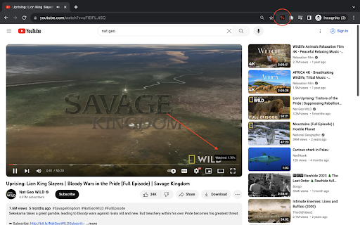 YouTube Watched Percentage