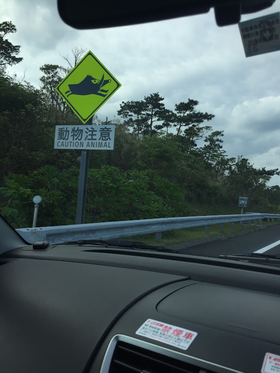 詫び助さんが投稿した沖縄・まだ出張中・不思議の国に関するカスタム事例の投稿画像4枚目