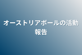 オーストリアボールの活動報告