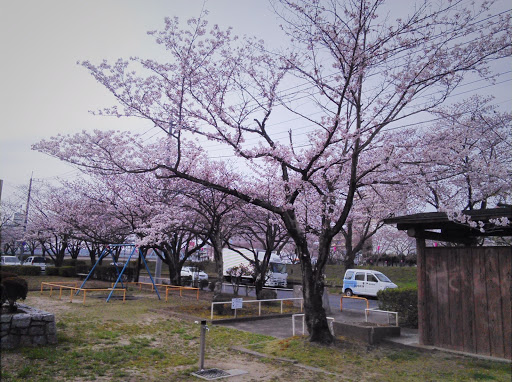 中央一丁目北児童公園