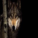 Wolf New Tab, Wallpapers HD chrome extension