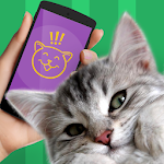 Cat Phrasebook Simulator Apk