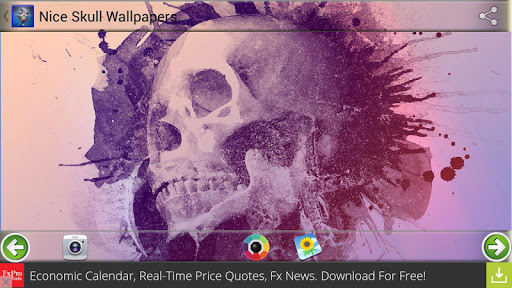 Nice Skull Wallpapers