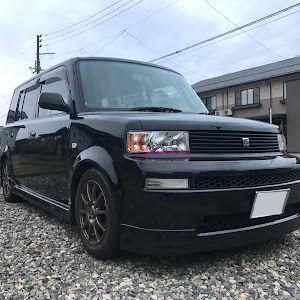 bB NCP31