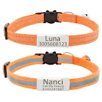 Silver-Orange