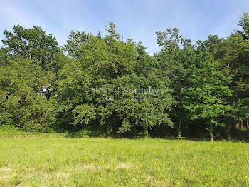 terrain à Larmor-Baden (56)