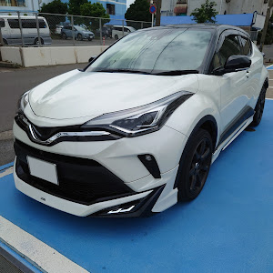 C-HR ZYX11