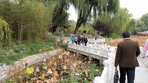 Bamboo Lake Beijing China 2015