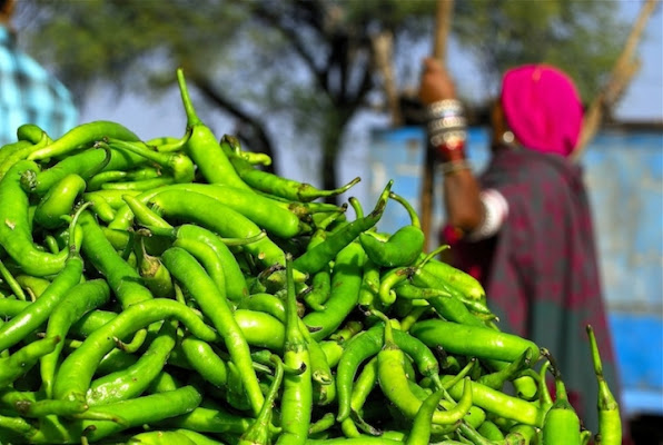 Green chili... di Michael gambarotto