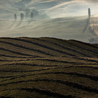 Il Grano.....tagliato e....da tagliare di 