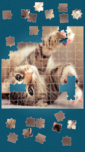 Cute Cats Jigsaw Puzzle Screenshot