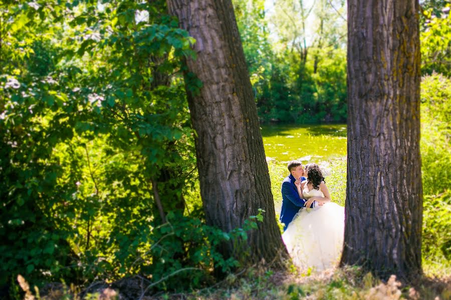 結婚式の写真家Lena Bulycheva (bela)。2016 3月8日の写真