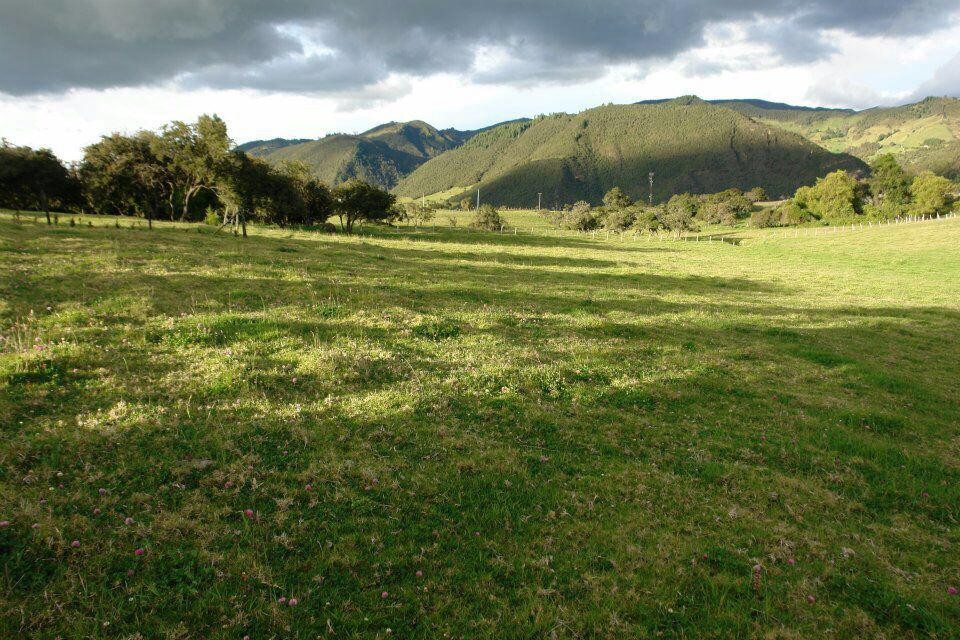 Lote En Venta - Vereda San Jose, La Calera
